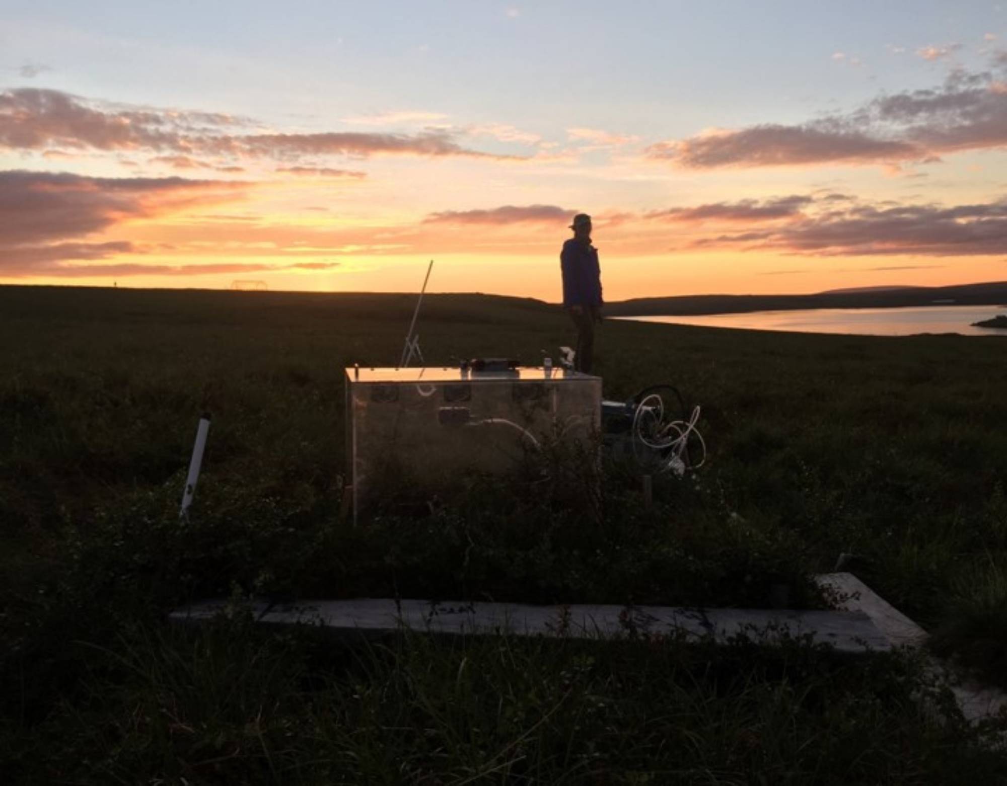 Sarah during the diurnal sunset